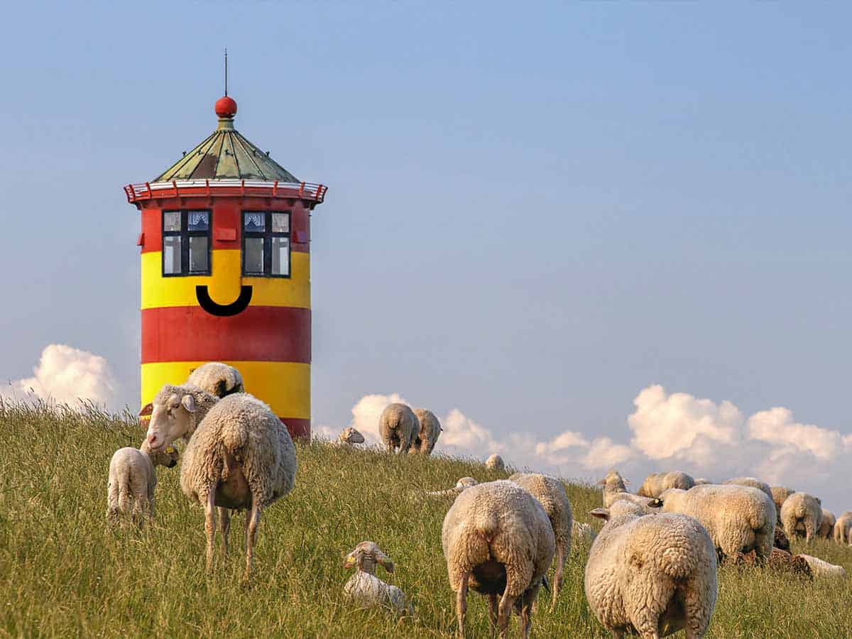 In diesem Bild sieht man den Leuchturm von Pilsum oder auch der "Otto-Turm" genannt. Im Vordergrund befinden sich viele Schafe auf dem Deich.